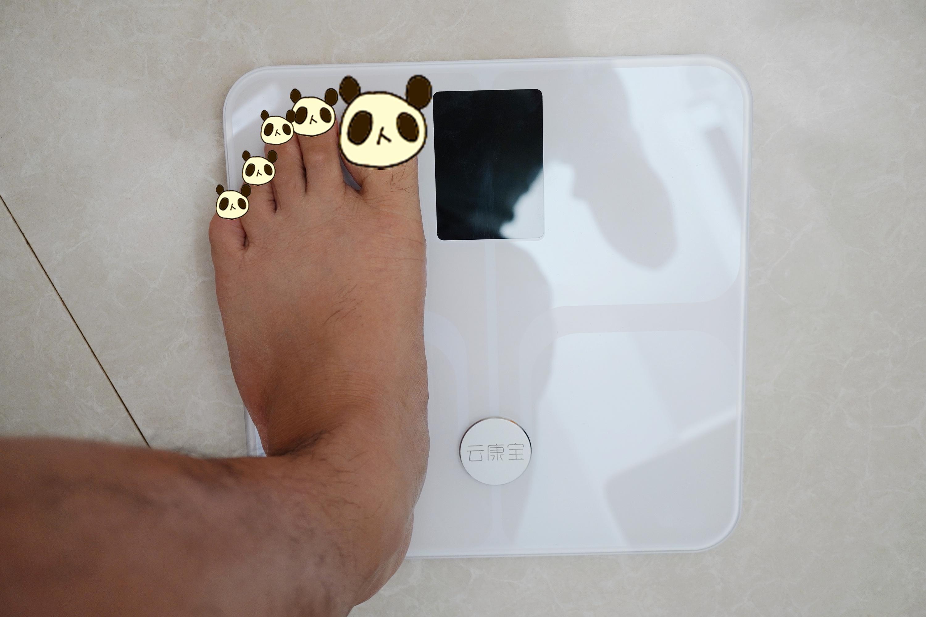 荣耀智能体脂秤WiFi版 解读你的身体密码，开启精准健康管理时代
